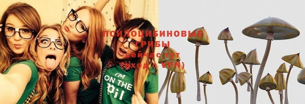 винт Абаза