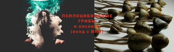 стафф Абдулино