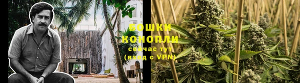 винт Абаза